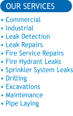 leak detection services